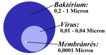 membranres