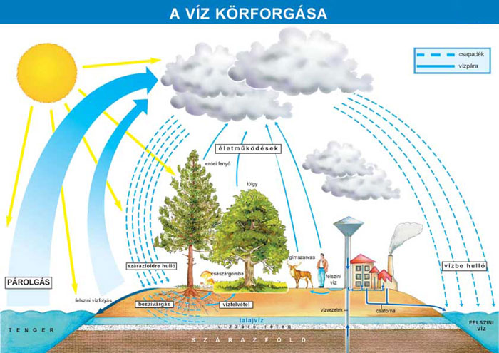 viz-korforgasa2