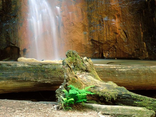 056.jpg